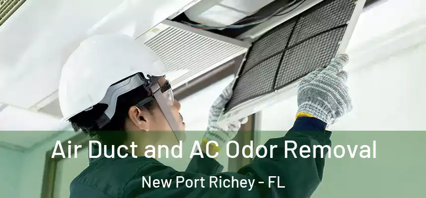 Air Duct and AC Odor Removal New Port Richey - FL