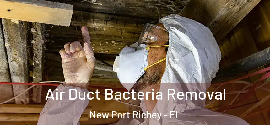 Air Duct Bacteria Removal New Port Richey - FL