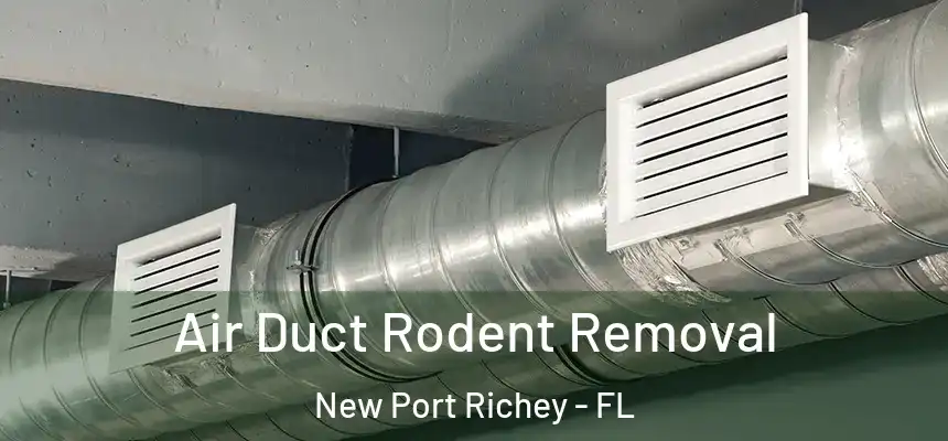  Air Duct Rodent Removal New Port Richey - FL