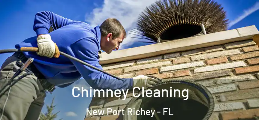 Chimney Cleaning New Port Richey - FL