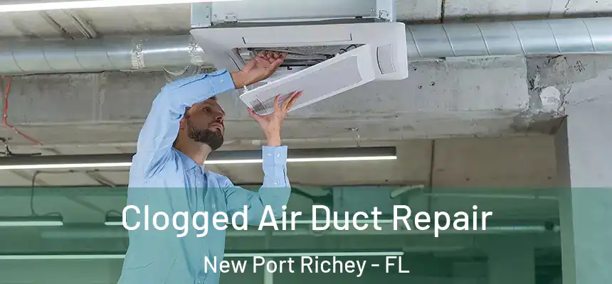 Clogged Air Duct Repair New Port Richey - FL
