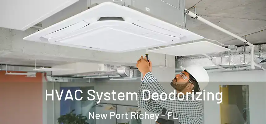 HVAC System Deodorizing New Port Richey - FL