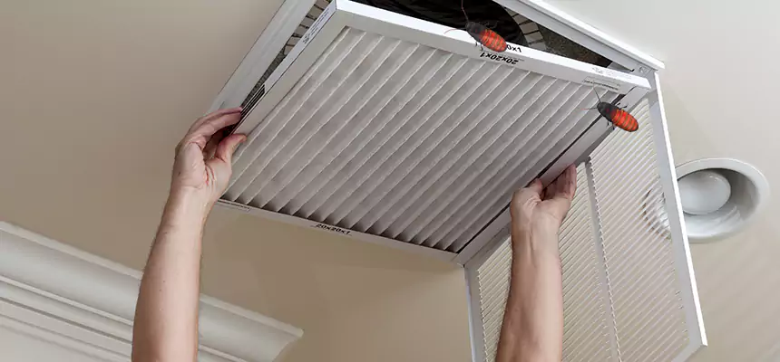 Preventive Cockroach-Proofing for Ducts in New Port Richey