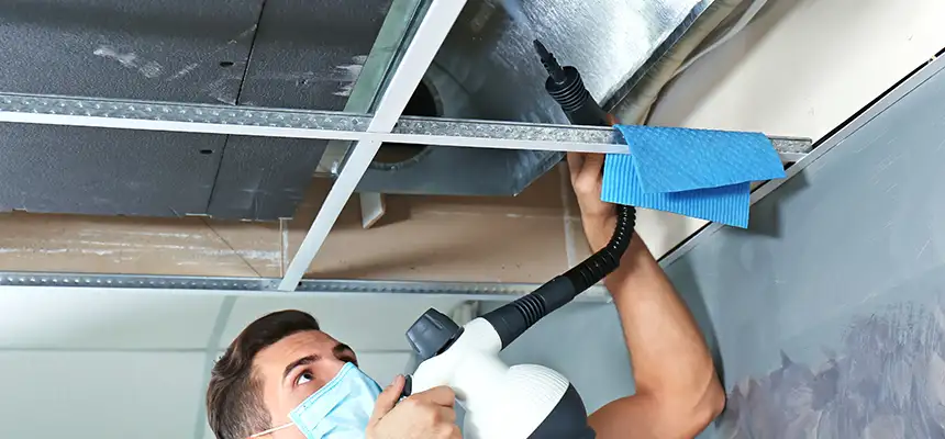 Our Air Duct Rodent Removal Services in New Port Richey, FL