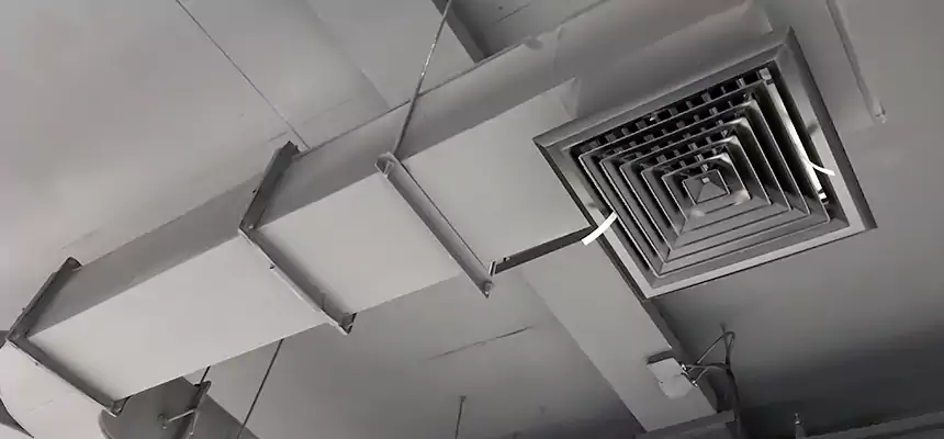 Restorative Allergy Relief Vent Cleaning – Coil, Blower & Housing Detail in New Port Richey