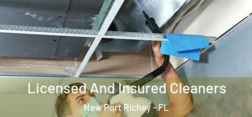 Licensed And Insured Cleaners New Port Richey - FL
