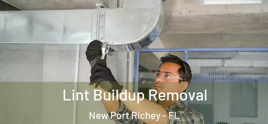 Lint Buildup Removal New Port Richey - FL