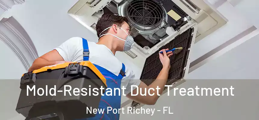  Mold-Resistant Duct Treatment New Port Richey - FL