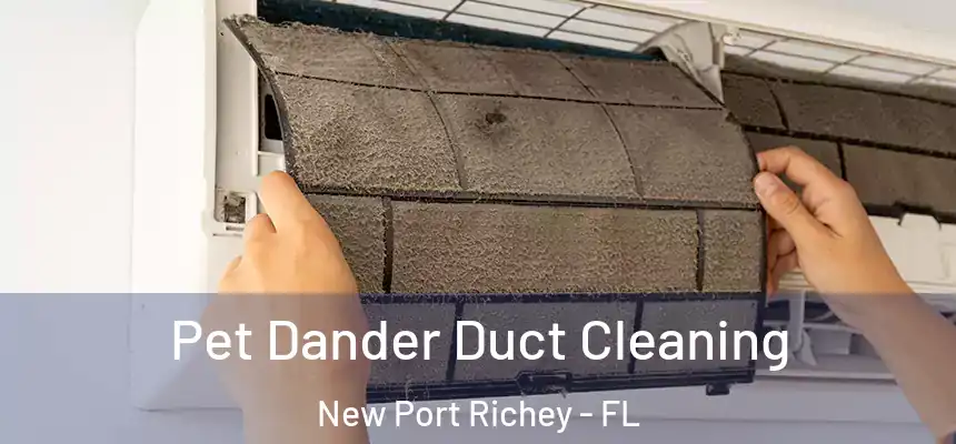 Pet Dander Duct Cleaning New Port Richey - FL