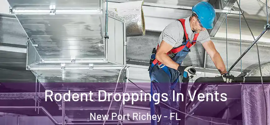  Rodent Droppings In Vents New Port Richey - FL