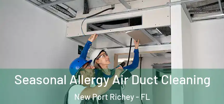 Seasonal Allergy Air Duct Cleaning New Port Richey - FL
