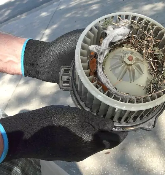 About Air Duct Rat Removal in New Port Richey, FL