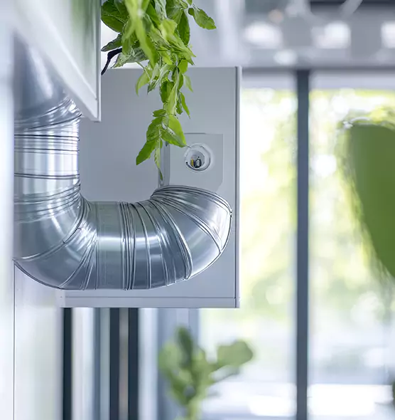 Professional Eco-Safe Dryer Vent Cleaning in New Port Richey, FL