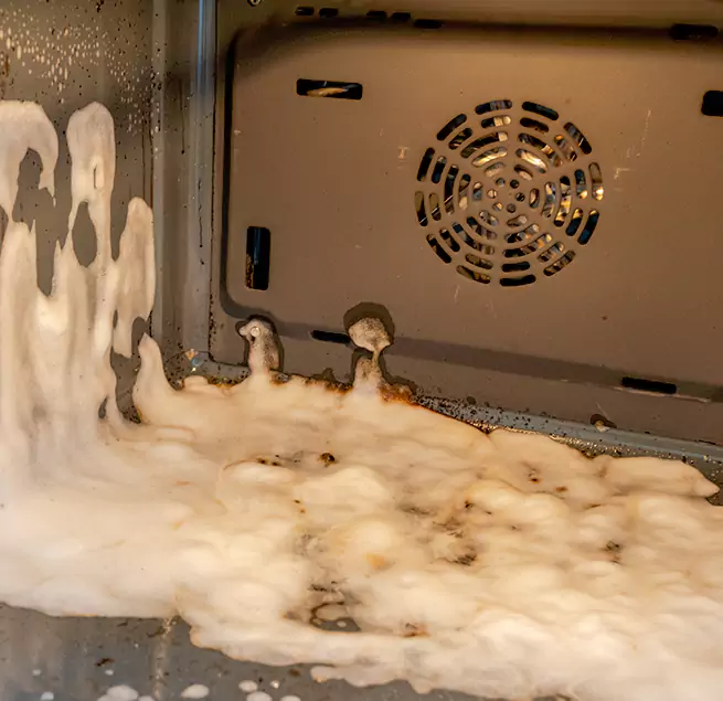 Why Homeowners & Businesses Trust Us in New Port Richey, FL?