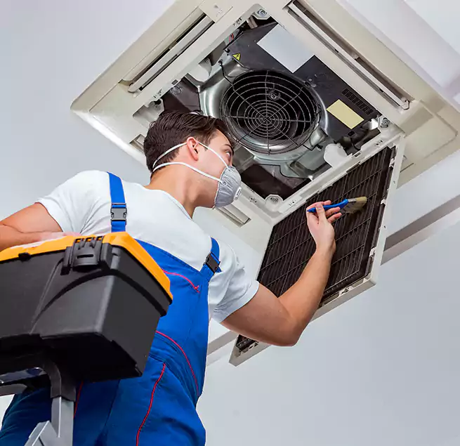 Why Homeowners & Businesses Trust Us in New Port Richey, FL