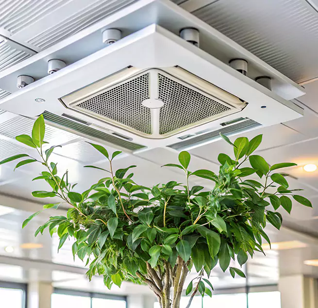 Why Homeowners & Businesses Trust Us in New Port Richey, FL