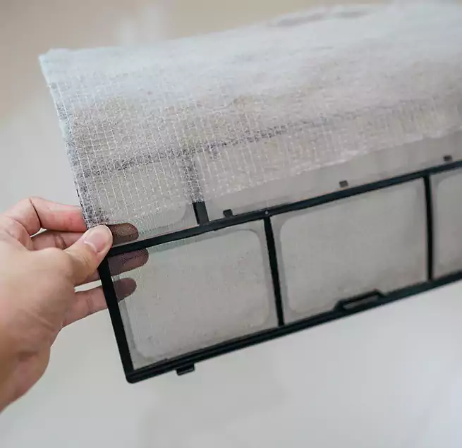 Why Homeowners & Businesses Trust Us in New Port Richey, FL?