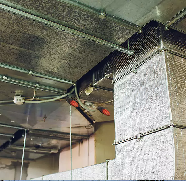 Why Homeowners & Businesses Trust Us New Port Richey, FL?