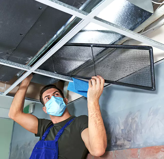 Why Homeowners Businesses Trust Us in New Port Richey, FL?