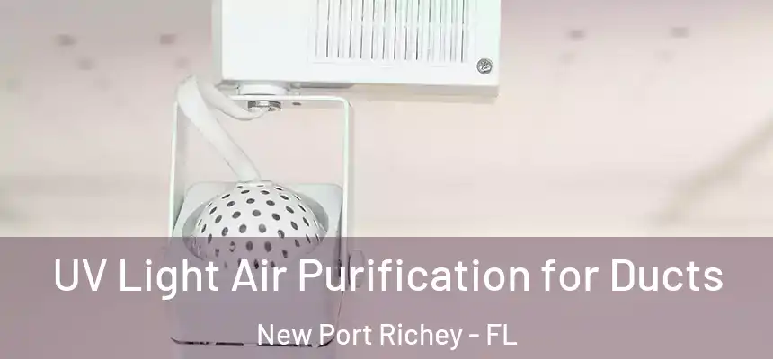 UV Light Air Purification for Ducts New Port Richey - FL